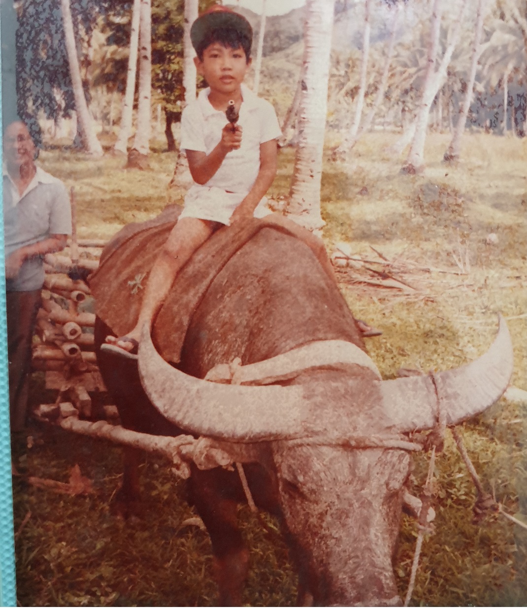The Mighty Carabao: The Heart of the Filipino Farm and the Philippines’ Unofficial National Animal
